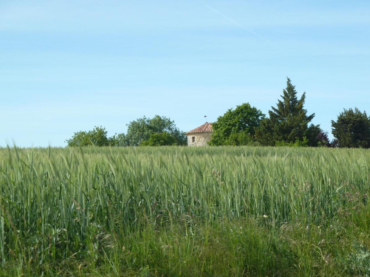 Chateau De Puissentut Bed & Breakfast Homps  Luaran gambar