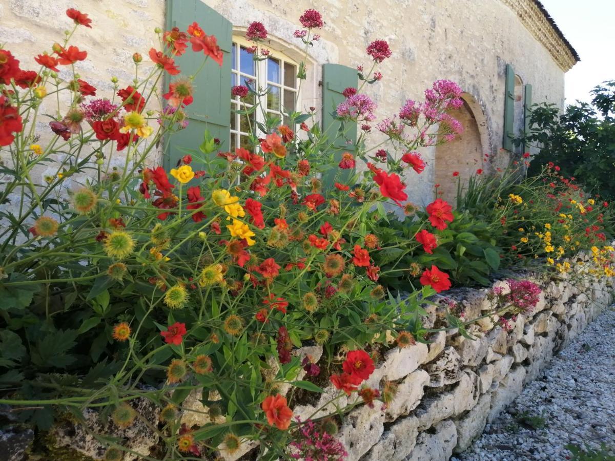 Chateau De Puissentut Bed & Breakfast Homps  Luaran gambar